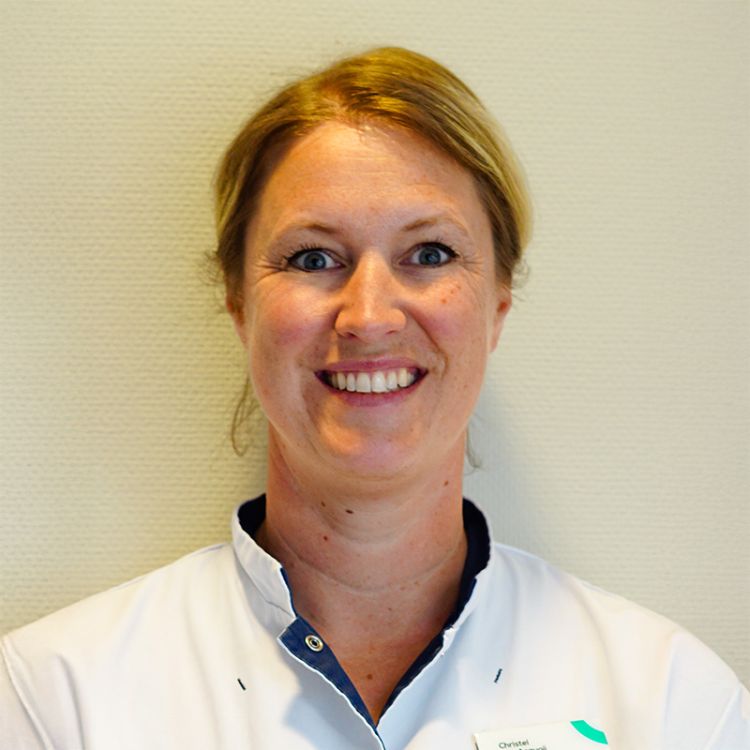C. van Breugel